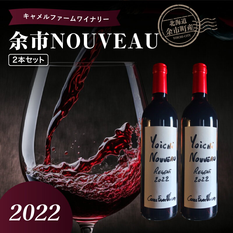 4位! 口コミ数「1件」評価「5」余市町産 ぶどう使用 余市 NOUVEAU 2022 750ml 2本 セット キャメルファーム レジェント100% 北海道 ワイン 赤ワイ･･･ 