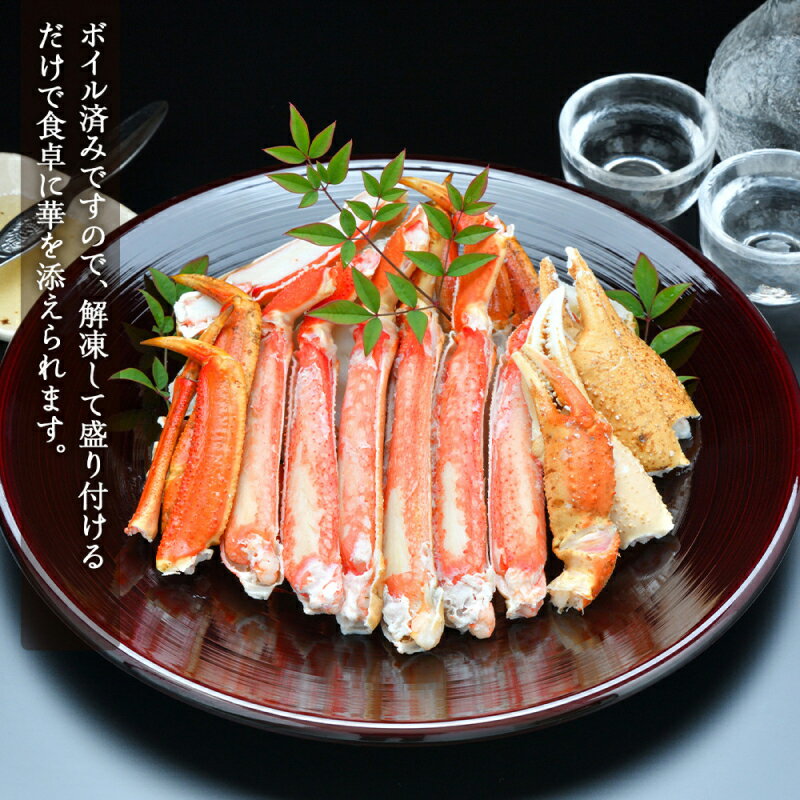 サンプル画像2
