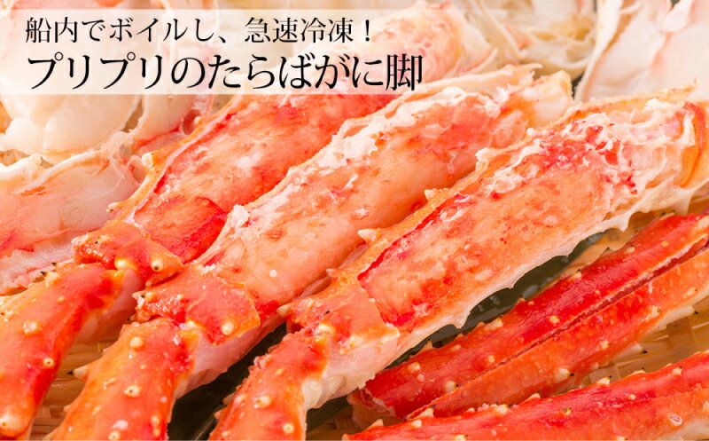 【ふるさと納税】☆豪華☆余市海の幸セット(2)☆＜糠塚水産＞ 送料無料