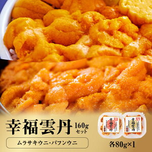 【ふるさと納税】北海道産 生うに 食べ比べ ムラサキウニ バフンウニ 2種類 各80g 幸福雲丹 冷凍 ウニ ムラサキ バフン 濃厚 魚介類 海鮮 海の幸 北海道 余市町 世壱屋 お取り寄せ お取り寄せグルメ 送料無料