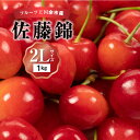 【ふるさと納税】 2025年発送 【 先行予約 】 令和7年産 佐藤錦 【 2Lサイズ 】 500g×2 【 ニトリ観光果樹園 】 さくらんぼの王様 余市 北海...