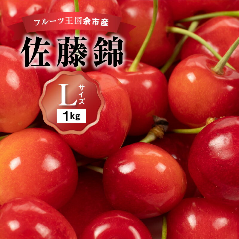 12位! 口コミ数「2件」評価「3.5」2024年発送【先行予約】令和6年産 フルーツ王国余市産 佐藤錦 Lサイズ 500g×2パック 1kg ニトリ観光果樹園 さくらんぼ フルー･･･ 