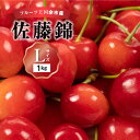 19位! 口コミ数「2件」評価「3.5」2024年発送【先行予約】令和6年産 フルーツ王国余市産 佐藤錦 Lサイズ 500g×2パック 1kg ニトリ観光果樹園 さくらんぼ フルー･･･ 