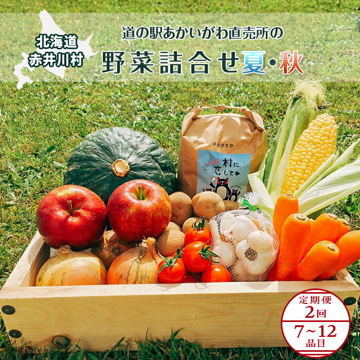 北海道産 道の駅あかいがわ直売所の野菜詰合せ（夏8月・秋9月：計2回）