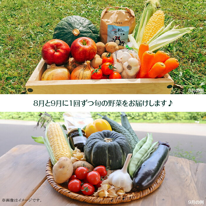 【ふるさと納税】北海道産 【定期配送】道の駅あかいがわ直売所の野菜詰合せ（夏8月・秋9月：計2回）