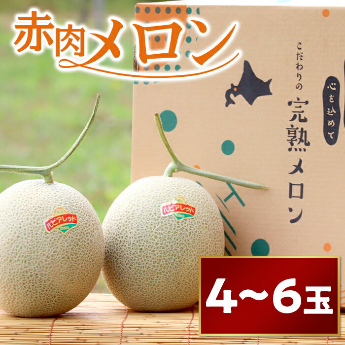 25位! 口コミ数「0件」評価「0」北海道産 【4～6玉入】やなぎさわ農園の甘い赤肉メロン