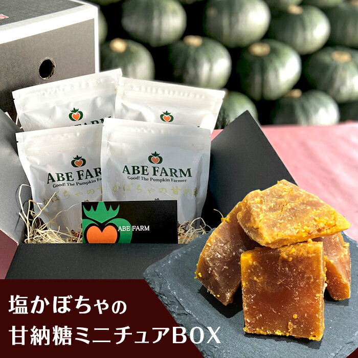 塩かぼちゃの甘納糖ミニチュアBOX（ABE　FARM）