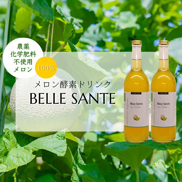 【ふるさと納税】【2本】メロン酵素ドリンク -BELLE SANTE-