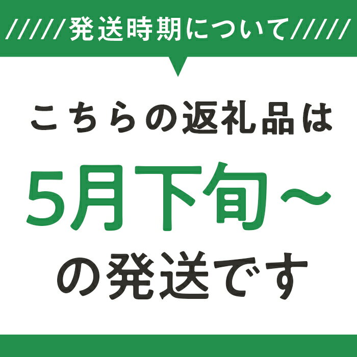 【ふるさと納税】2.【グリーン】新見ファームの有機アスパラ：配送5月下旬～