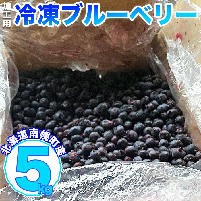 【ふるさと納税】北海道南幌町産 冷凍ブルーベリー 加工用 5kg 7月下旬より発送 JAなんぽろ直送 NP1-345