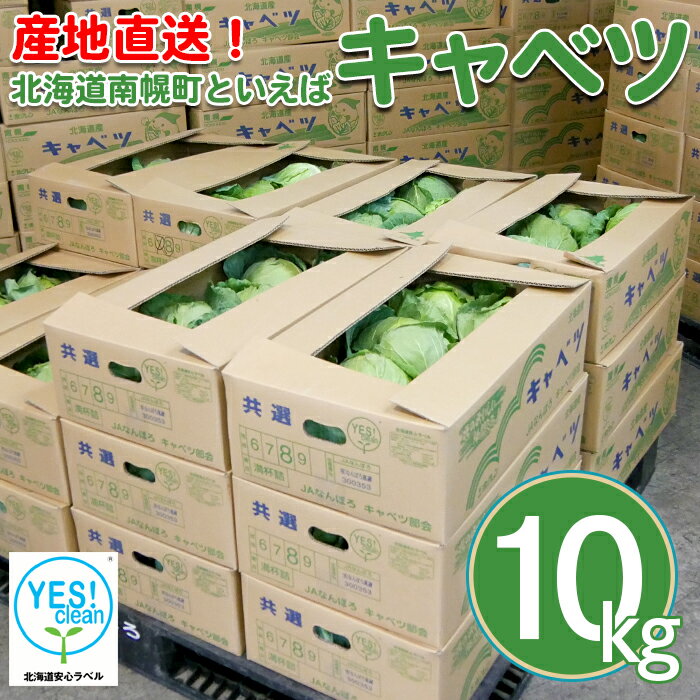 4位! 口コミ数「0件」評価「0」北海道南幌町産 キャベツ 10kg（6～9玉）7月中旬より発送 JAなんぽろ直送 NP1-339