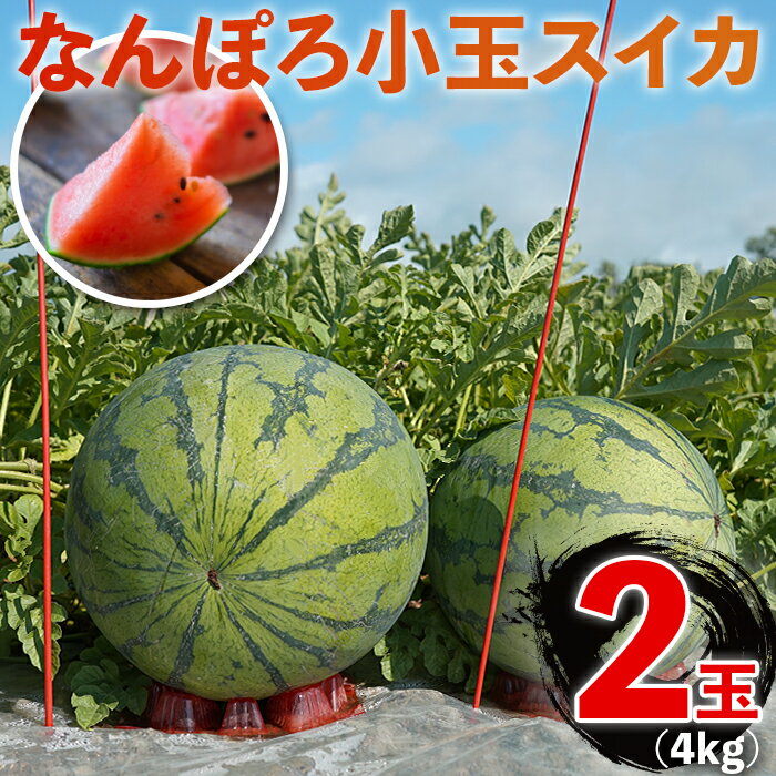 小玉スイカ 2玉 約4kg なんぽろ小玉すいか 令和7年度産 8月発送開始 北海道産 南幌町 NP1-348