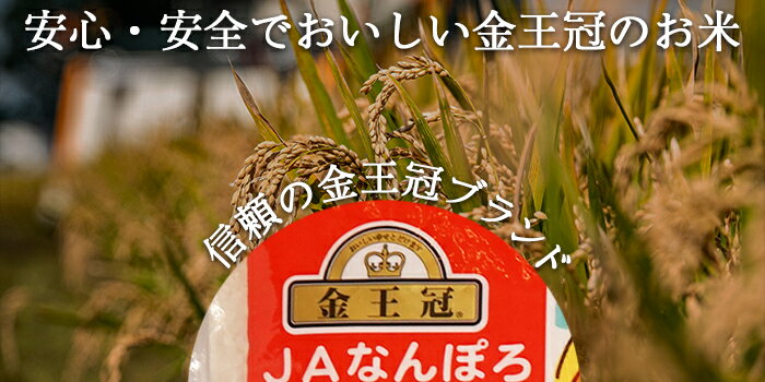 【ふるさと納税】 【定期便】 ななつぼし 15kg（5kg×3カ月定期便）令和7年産 YES!clean 北海道安心ラベル 北海道南幌町 南幌町 NP1-474