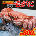 毛ガニ 【ふるさと納税】北海道産 毛がに 約800g 北海道産 ボイル済 冷凍 毛ガニ 毛蟹 南幌町 ことぶきや NP1-465