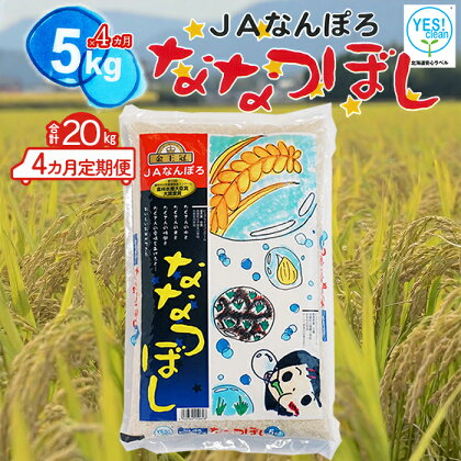 ななつぼし 20kg（5kg×4カ月定期便）令和5年産 YES!clean 北海道安心ラベル 北海道南幌町 南幌町 NP1-461