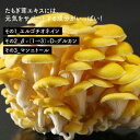 北海道南幌町の画像2