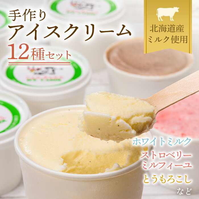 16位! 口コミ数「2件」評価「5」北海道産 南幌町 手作りアイスクリーム 120ml×12個セット(おまかせ詰め合わせ) 道産牛乳使用 スイーツ デザート NP1-023