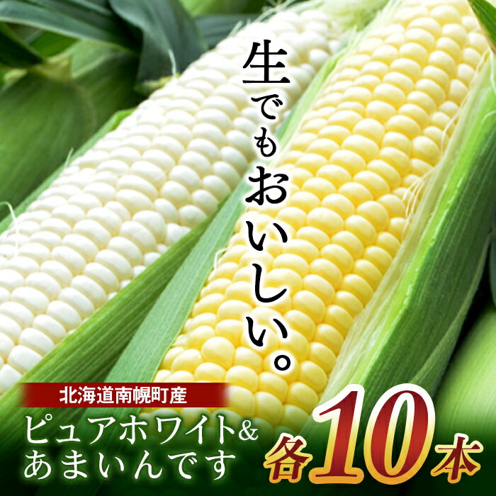 2023年4月】ふるさと納税でもらえるとうもろこしの還元率・コスパランキング|gooふるさと納税