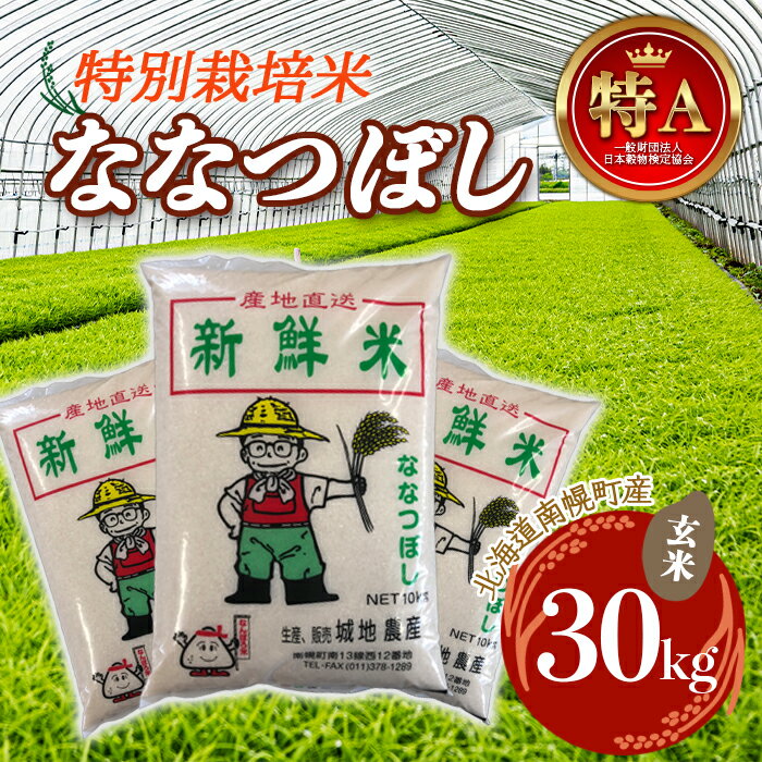 【ふるさと納税】特別栽培米ななつぼし(玄米)30kg令和4年度米2022年10月発送NP1-058