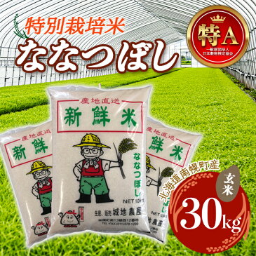 【ふるさと納税】特別栽培米 ななつぼし（玄米）30kg 令和4年度米 2022年10月発送 NP1-058