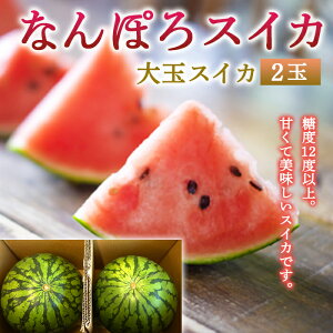 【ふるさと納税】なんぽろ スイカ 2玉 期間限定《数量限定》令和5年度産 8月下旬以降発送開始 NP1-076