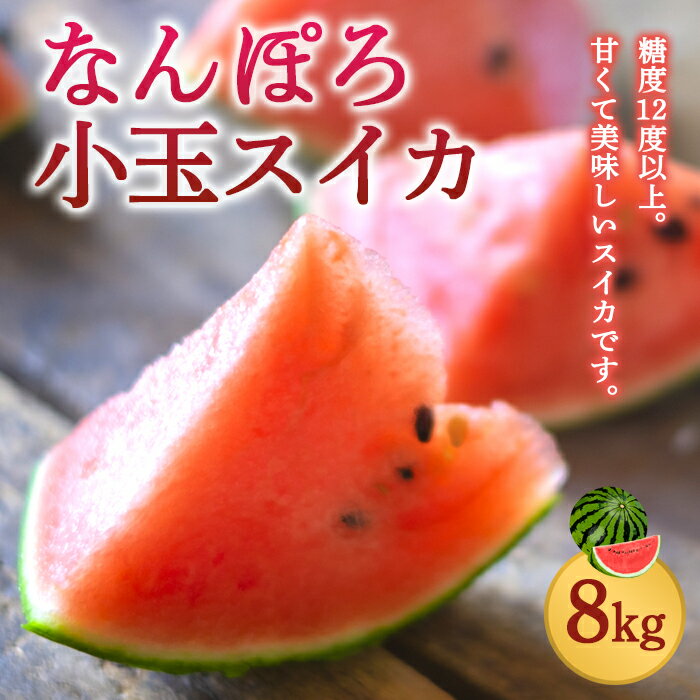 【ふるさと納税】小玉スイカ 8kg なんぽろ小玉スイカ《数量限定・期間限定》すいか NP1-270のサムネイル