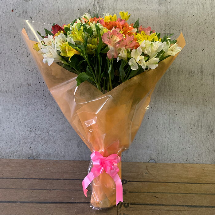 北海道南幌町の画像2