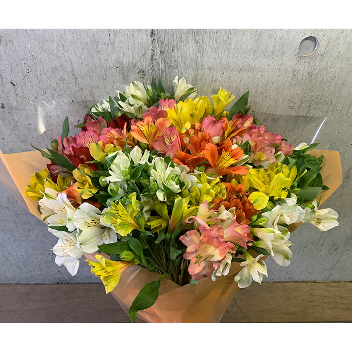 北海道南幌町の画像3