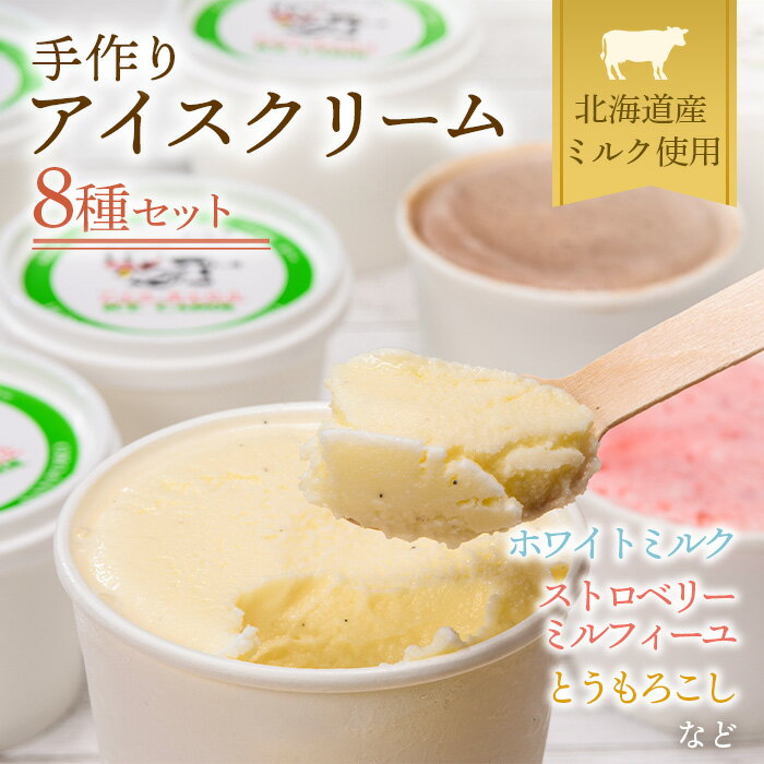 北海道産 手作りアイスクリーム 120ml×8個セット (おまかせ詰め合わせ) NP1-292 南幌町 道産牛乳 スイーツ