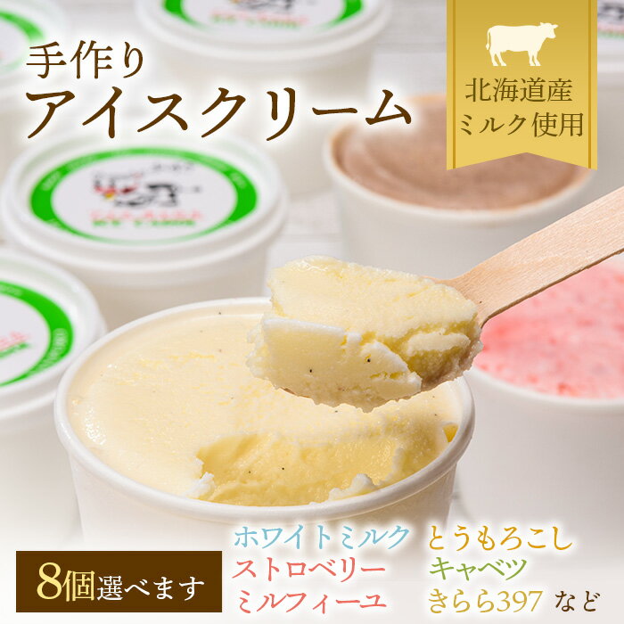 北海道産 南幌町 手作りアイスクリーム 120ml×8個セット (お好み詰め合わせ) NP1-293