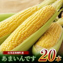 《先行予約》北海道産 とうもろこし あまいんです20本 《2024年発送》 朝採り 一番果 産地直送 数量限定 期間限定 NP1-173