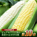 1位! 口コミ数「15件」評価「4」《先行予約》北海道産 とうもろこし 食べ比べ ピュアホワイト5本＆あまいんです5本 《2024年発送》 朝採り 一番果 産地直送 数量限定 ･･･ 