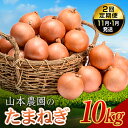 【ふるさと納税】北海道産 たまねぎ 「山本農園のたまねぎ」L~L大サイズ前後 10kg 2回定期便(11月・1月発送) 南幌町産 NP1-300