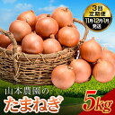 【ふるさと納税】北海道産 たまねぎ 「山本農園のたまねぎ」L~L大サイズ前後 5kg 3回定期便(11月・12月・1月発送)南幌町産 玉ねぎ タマネギ 玉葱 NP1-351