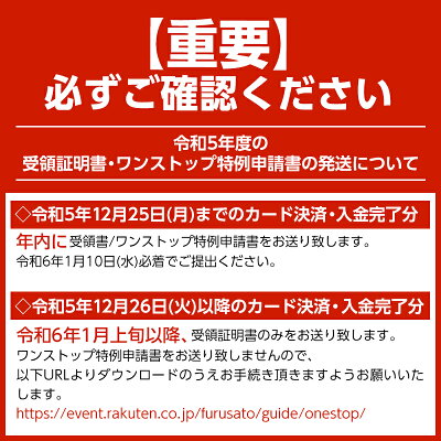 北海道南幌町 【ふるさと納税】札幌麺匠 GARAKU監修 スープカレーラーメン 10食セット 北海道 NP1-355 画像3