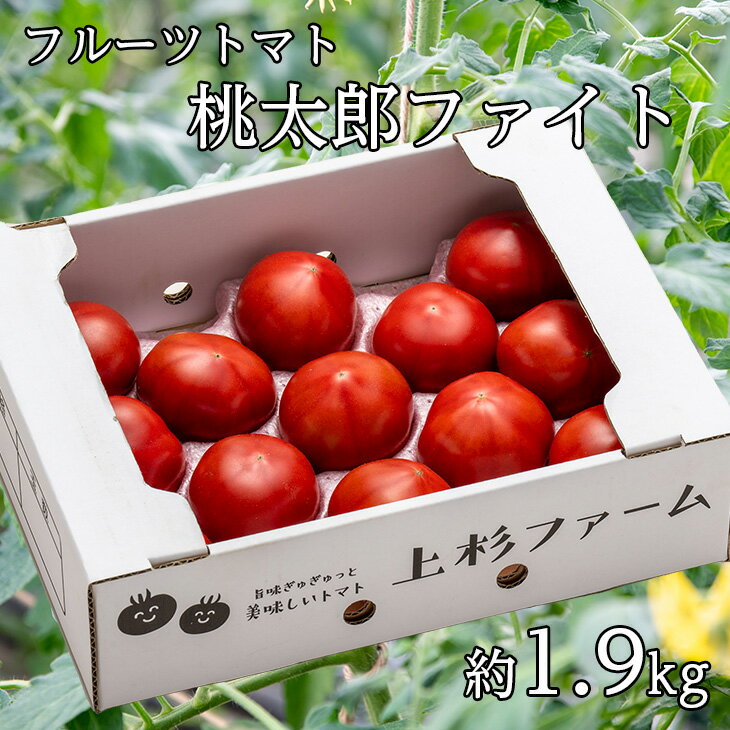 【ふるさと納税】甘さにうっとりフルーツトマト（桃太郎ファイト）約1.9kg12〜16玉入り