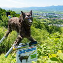 【ふるさと納税】究極の野生動物忌避装置「モンスターウルフ」3カ月レンタル権