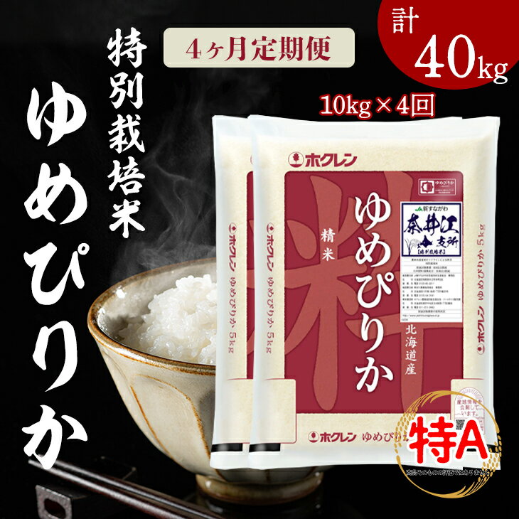 【ふるさと納税】特栽米 ゆめぴりか 5kg×2 定期便 毎月