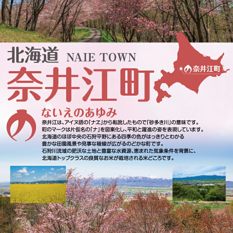 【ふるさと納税】日経トレンディ「米のヒット甲子園」大賞受賞「特栽米ゆめぴりか無洗米5kg」定期便！毎月1回・計12回お届け