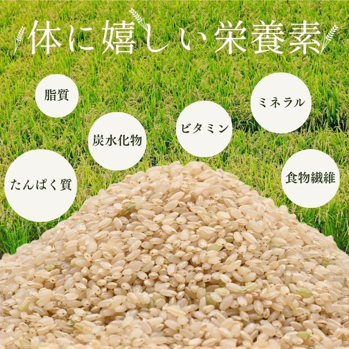 北海道奈井江町の画像3