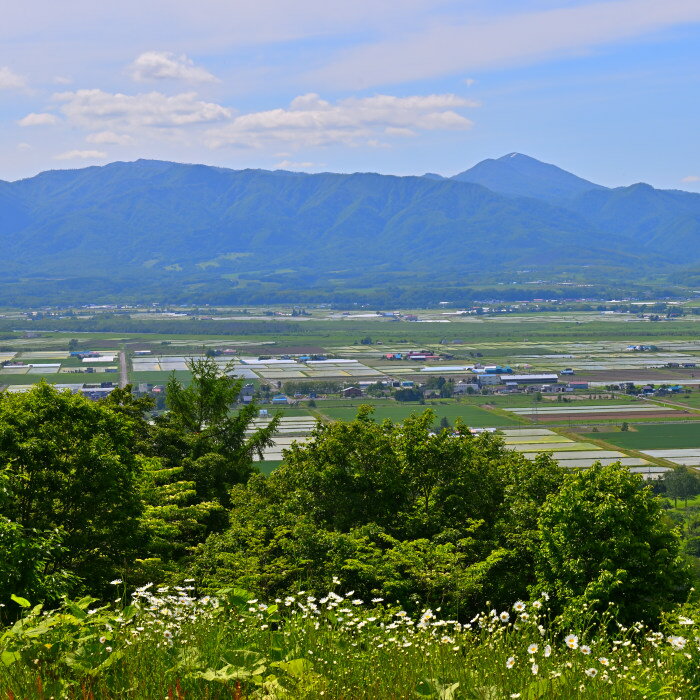 北海道奈井江町の画像3
