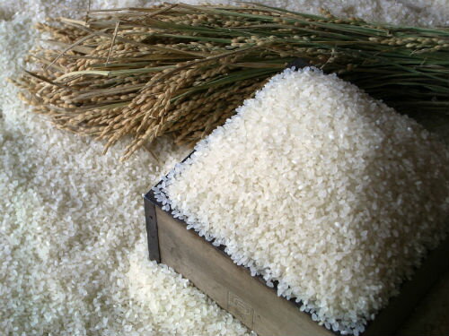北海道由仁町産 豊作米(R) 令和4年産 ゆめぴりか5kg