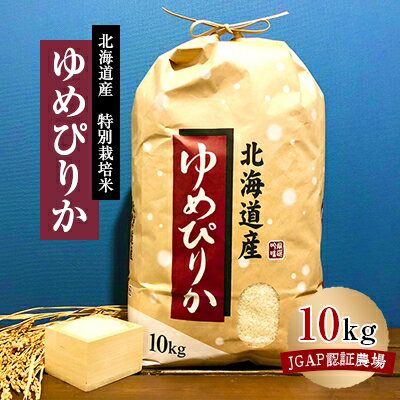 【ふるさと納税】特別栽培米 令和5年産北海道産ゆめぴりか 1