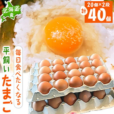 名称 【北海道産】毎日食べたくなる平飼いたまご40個 保存方法 冷蔵 発送時期 2024年5月より順次発送※生産・天候・交通等の事情により遅れる場合があります。 提供元 Moss　Garden 配達外のエリア 離島 お礼品の特徴 【おいしい...