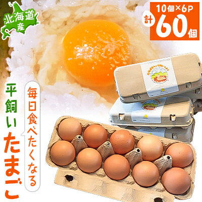 4位! 口コミ数「0件」評価「0」【北海道産】毎日食べたくなる平飼いたまご60個【配送不可地域：離島】【1215858】