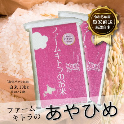 【ふるさと納税】【令和5年産】あやひめ白米5kg×2袋【1454839】