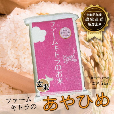 30位! 口コミ数「0件」評価「0」【令和5年産】あやひめ玄米5kg【1454868】