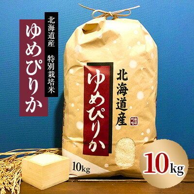 【ふるさと納税】【先