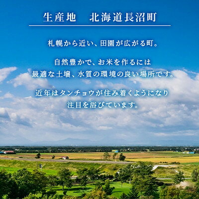 【ふるさと納税】ゆめぴりか・ななつぼし・おぼろづき(2kg×各1袋)合計6kg　3品種食べ比べ【1745550】 f014281-naganuma-10000715 北海道長沼町 サンプル画像2