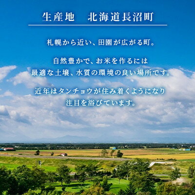 【ふるさと納税】【毎月定期便】北海道長沼産 ななつぼし 5kg 精米 特A 契約栽培米全12回【4081869】